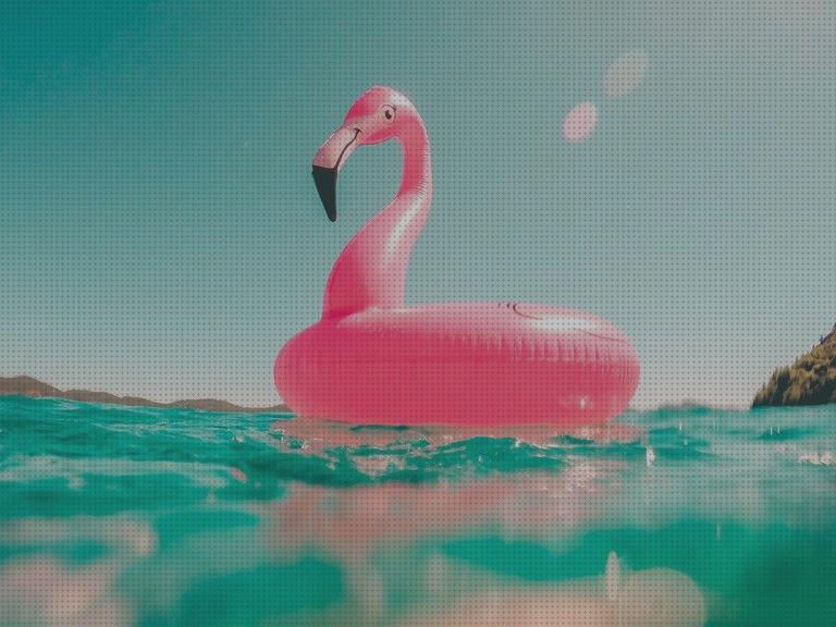 Los 35 Mejores accesorios piscinas hinchables