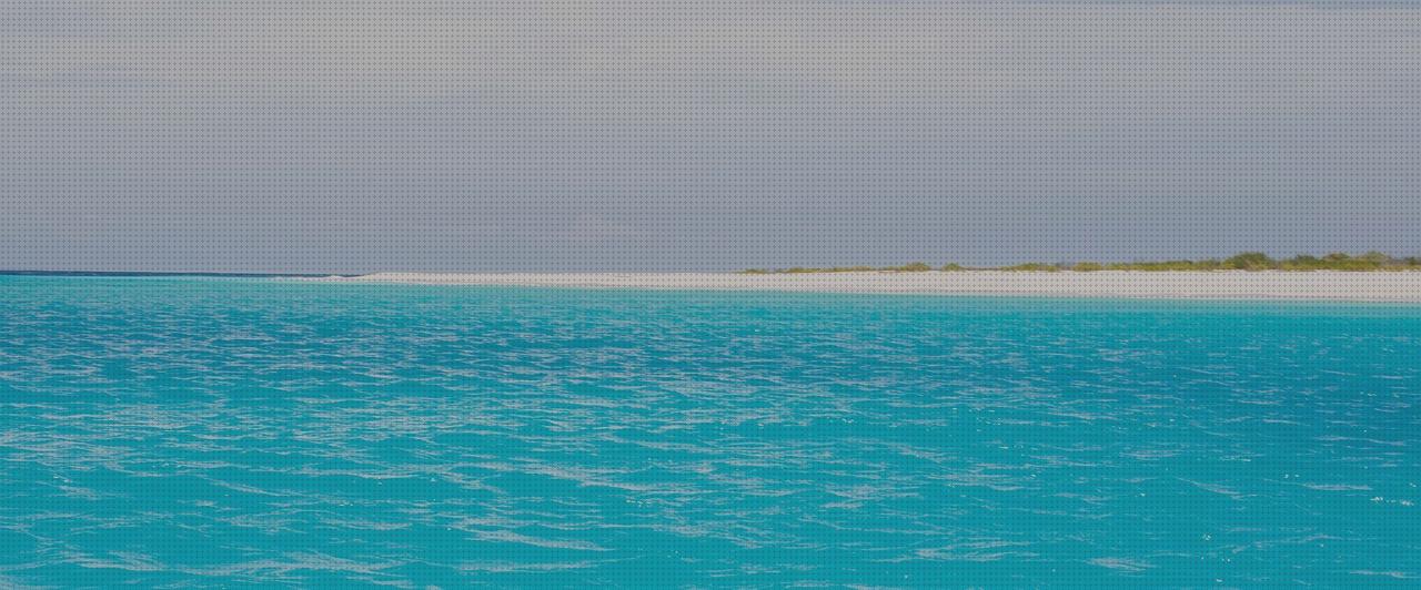 ¿Dónde poder comprar cal teixido estamariu habitacion con bañera hidromasaje bañera hidromasaje eco de hydrosana 185x90x68 cm bañera hidromasaje eco de hydrosana agua verdosa?