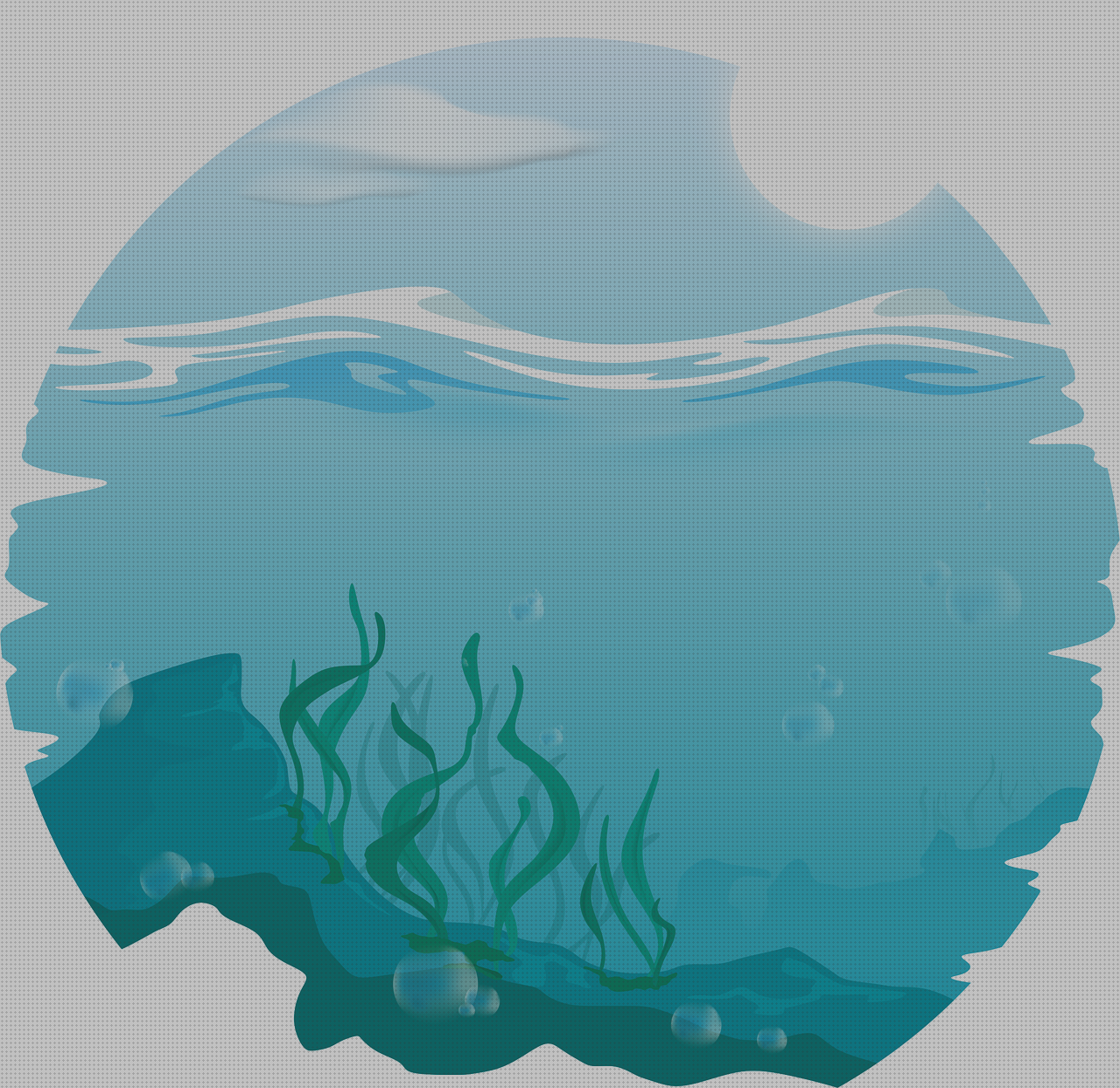 Review de algae shock