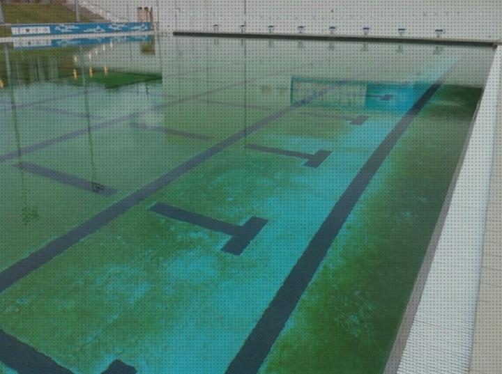¿Dónde poder comprar algas piscina desmontable?