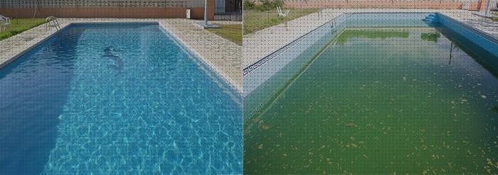 Los 21 Mejores alguicida piscinas a la venta