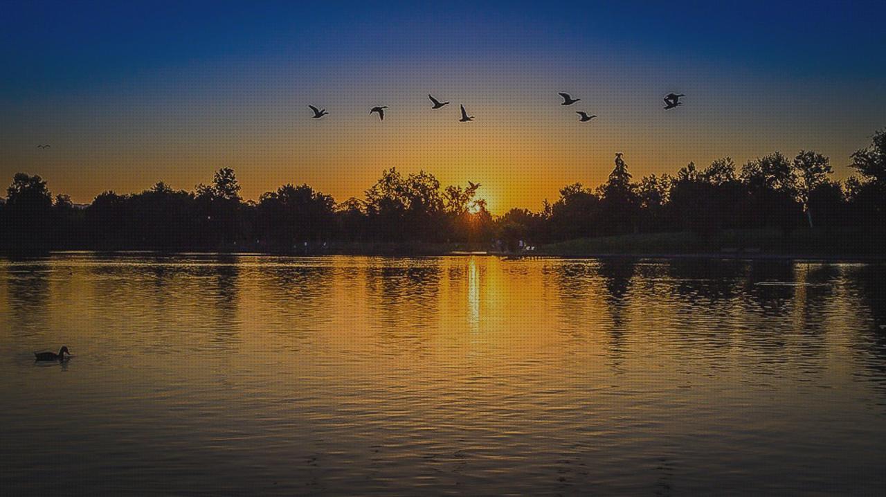Las mejores marcas de balboa jacuzzi cal teixido estamariu habitacion con bañera hidromasaje bañera hidromasaje eco de hydrosana 185x90x68 cm balboa spa
