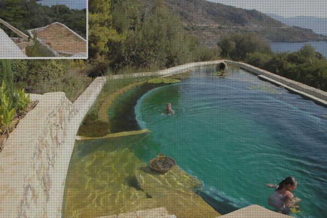 Las mejores balsa insectos piscina