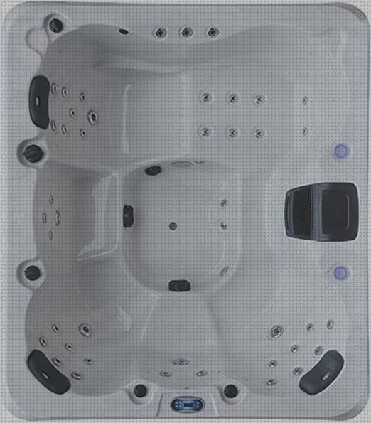 Análisis de las 22 mejores Bañeras Hidromasajes Exteriores Individuales
