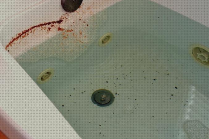 Las mejores 17 Bañeras Hidromasajes Limpiezas