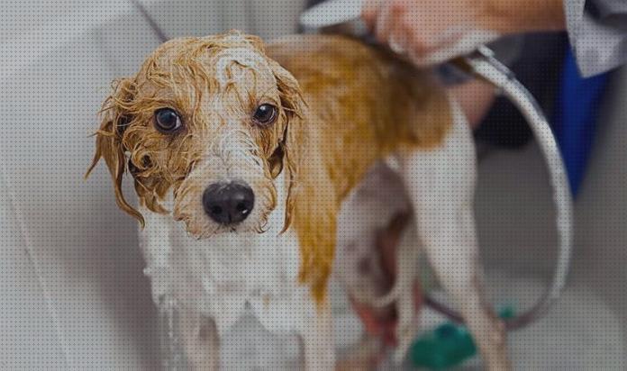 Review de bañera limpiar perros profesional
