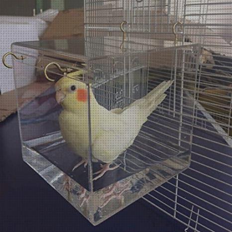 ¿Dónde poder comprar Más sobre portada vinilo piscina plástico Más sobre bañera hidromasaje cype Más sobre bañera hidromasaje metaliberica bañera pajaros?
