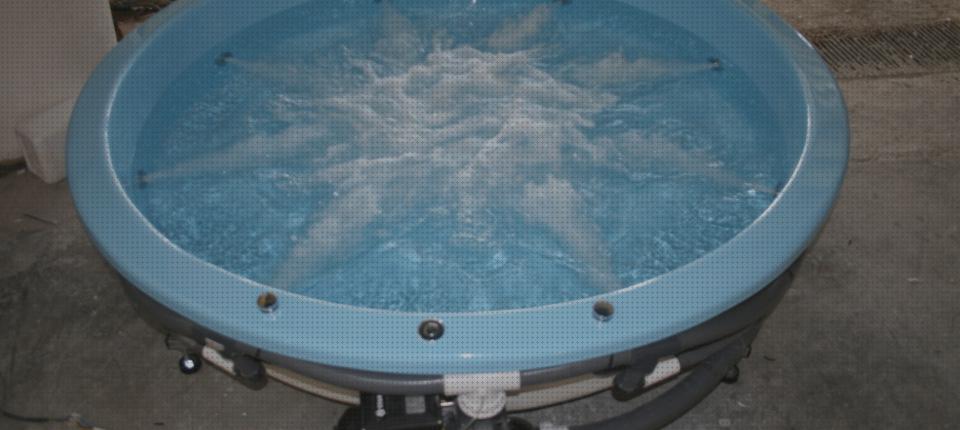 Las mejores marcas de bañeras bañera piscina