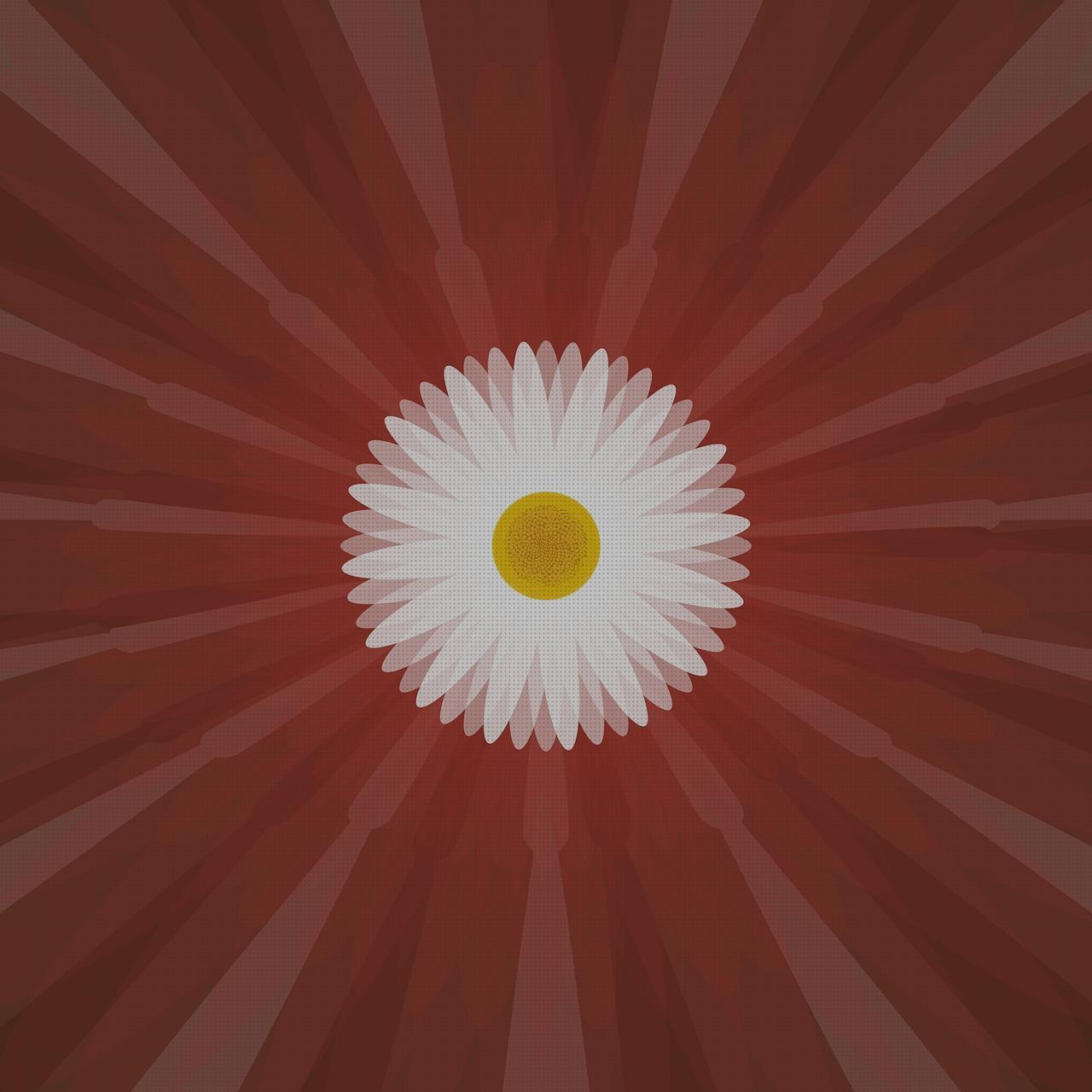 ¿Dónde poder comprar nelson turf ez pro jr 8300 riego turf cultivador de jardin belly garden?