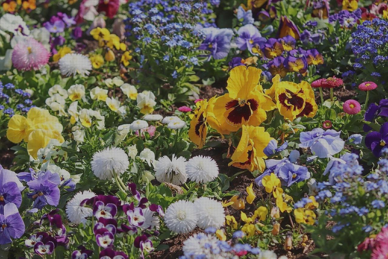 Las mejores marcas de nelson turf ez pro jr 8300 riego turf cultivador de jardin belly garden