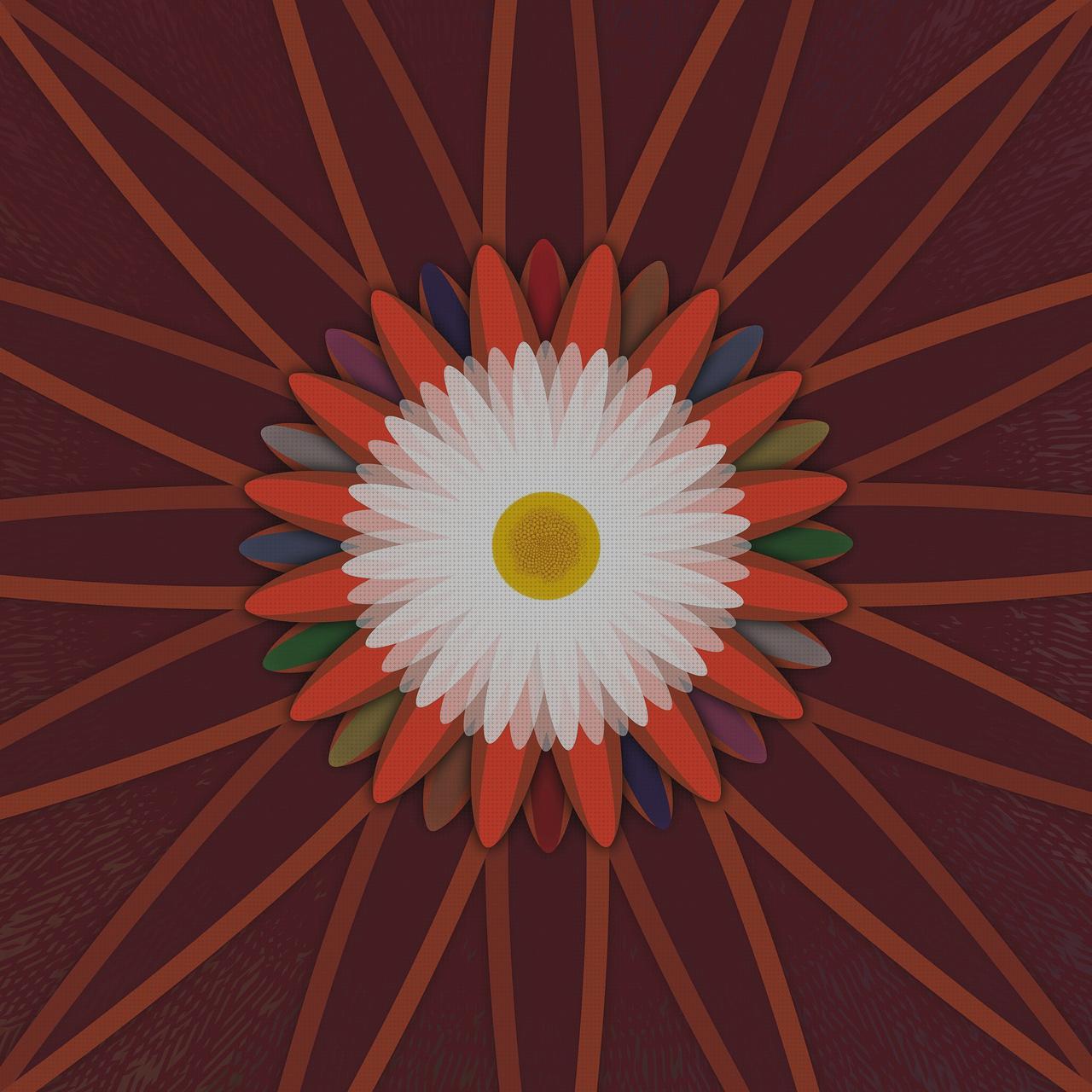 18 Mejores belly gardens bajo análisis