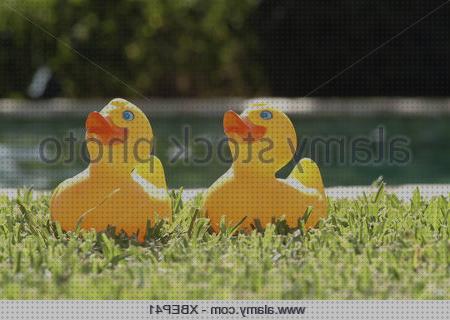 Las mejores borde amarillo piscina de plastico