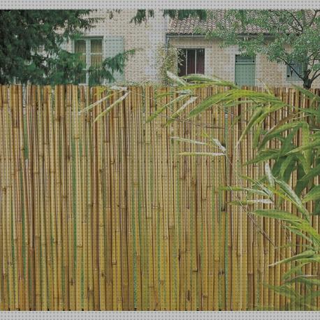 Opiniones de los 19 mejores Cañizo De Bambu Naturales