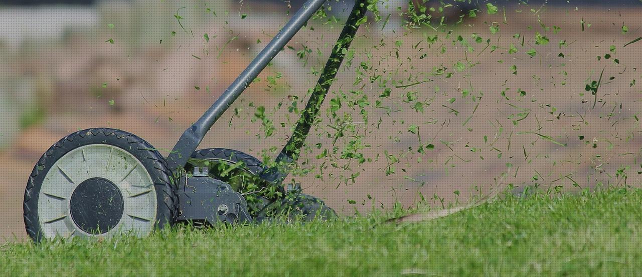 Las mejores cultivador de jardin minus spa jacuzzi exterior roca broadway cesped 35mm