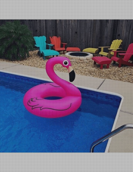 Análisis de los 41 mejores Cisnes De Plásticos Piscinas