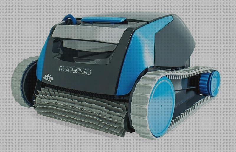 Las mejores piscina desmontable dolphin dolphin 20