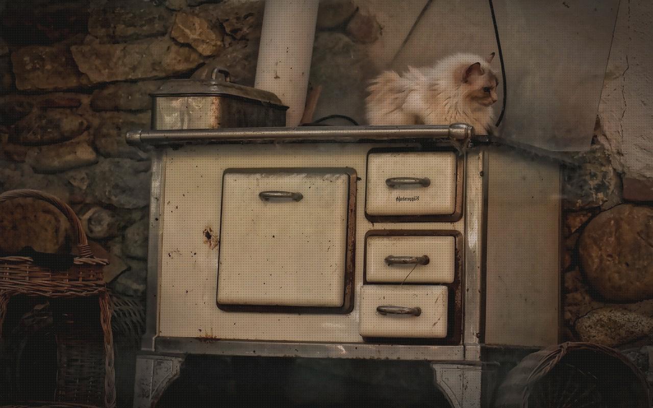 Las mejores 18 Estufas Cocinas Leñas
