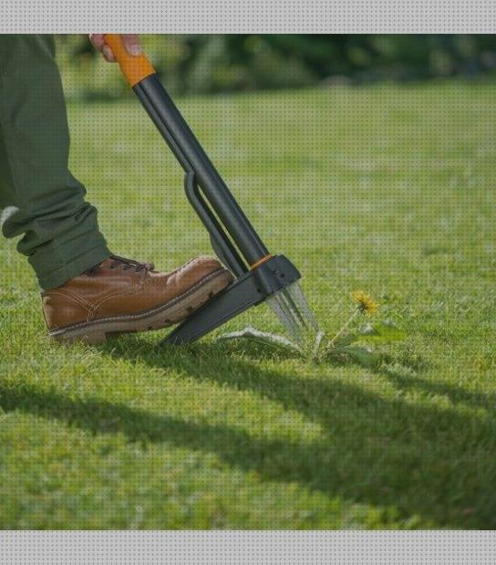 Análisis de los 18 mejores extractores malas hierbas para comprar
