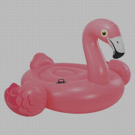 Los 26 Mejores Flamencos Mega Hinchables Intex