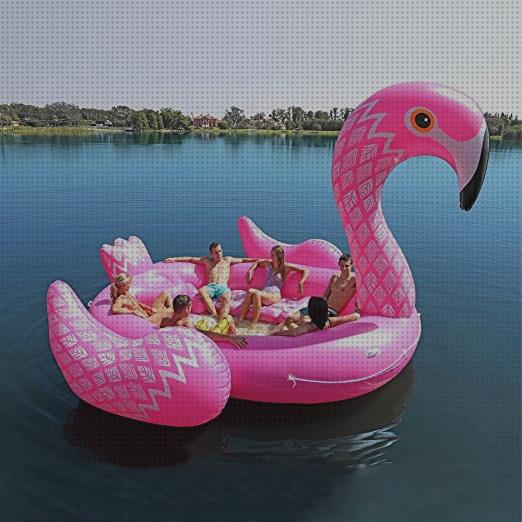 Las mejores marcas de flamencos flamenco piscina