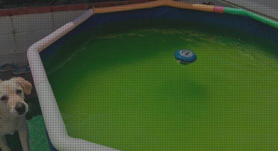 ¿Dónde poder comprar floculante piscina kayak inflable k2 kayak hinchable floculante piscina hinchable?