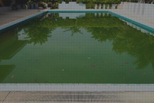 Review de floculante piscina hinchable