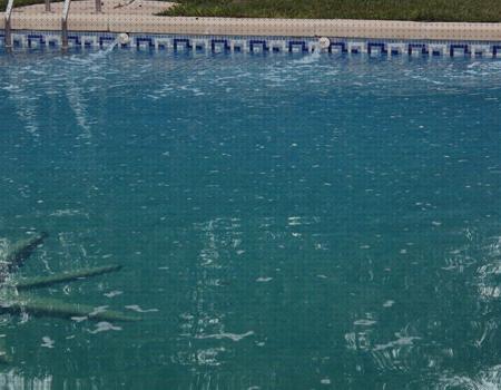 Los mejores 24 Floculante Piscinas Pequeñas