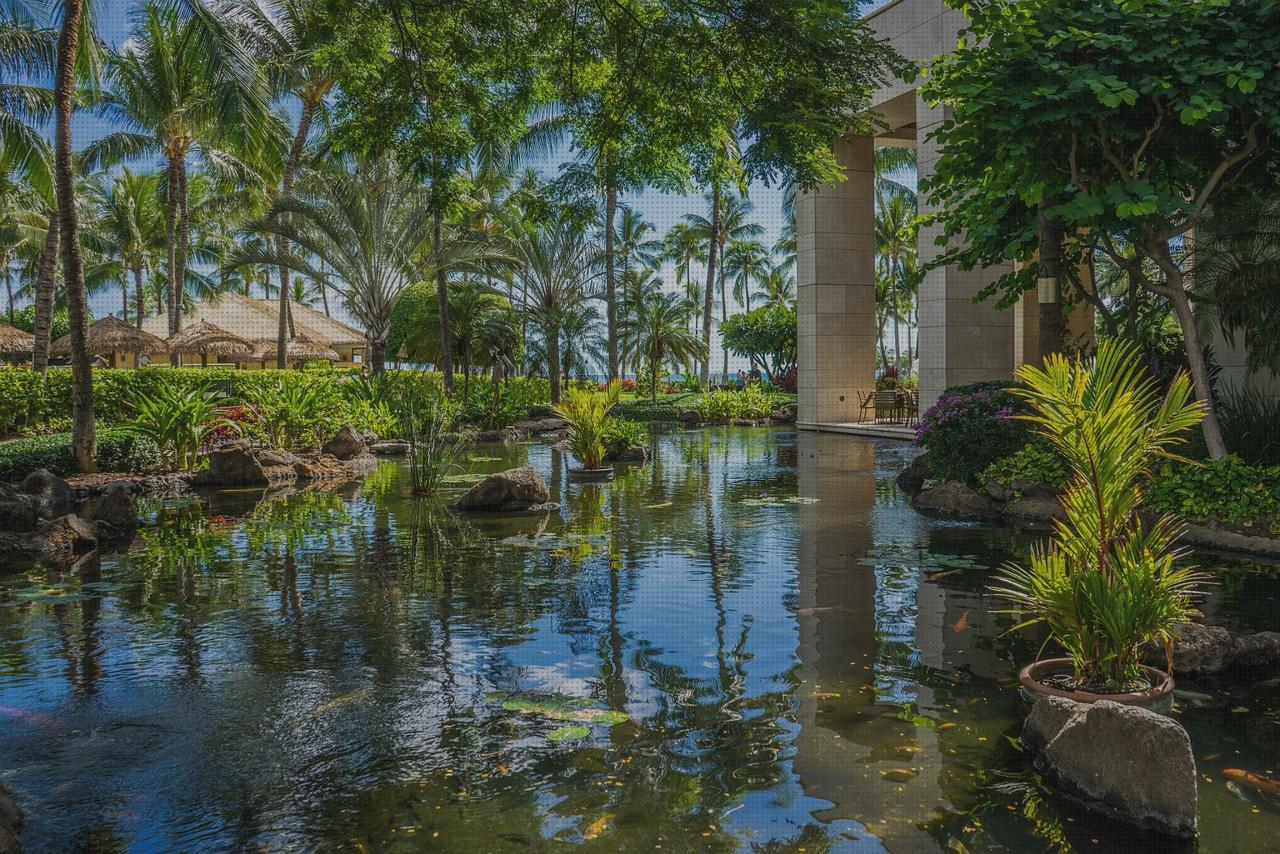¿Dónde poder comprar minus spa jacuzzi exterior roca broadway cal teixido estamariu habitacion con bañera hidromasaje gre 90172?