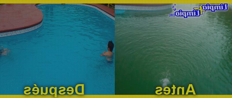 Análisis de los 13 mejores Hipoclorito De Sodios Piscinas