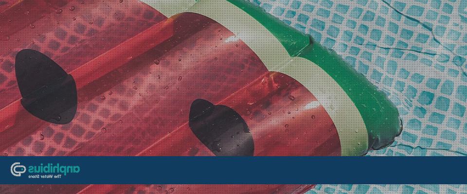 Las mejores marcas de karcher limpiar piscina