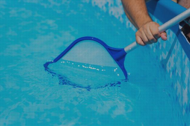 21 Mejores limpia hojas piscinas del mundo