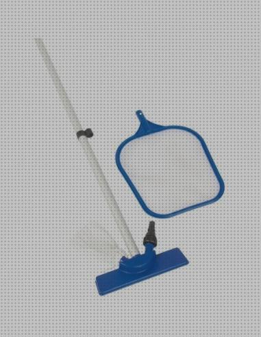 Las mejores mango extensible de piscina