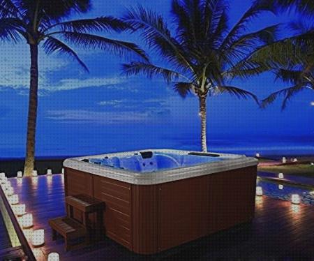 Análisis de los 38 mejores minipiscina spas zen