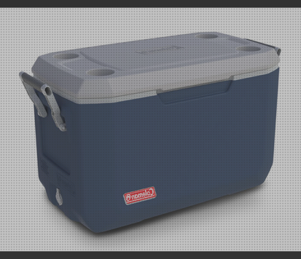 Las mejores calentador agua coleman jacuzzi exterior roca broadway cal teixido estamariu habitacion con bañera hidromasaje nevera coleman 70 qt