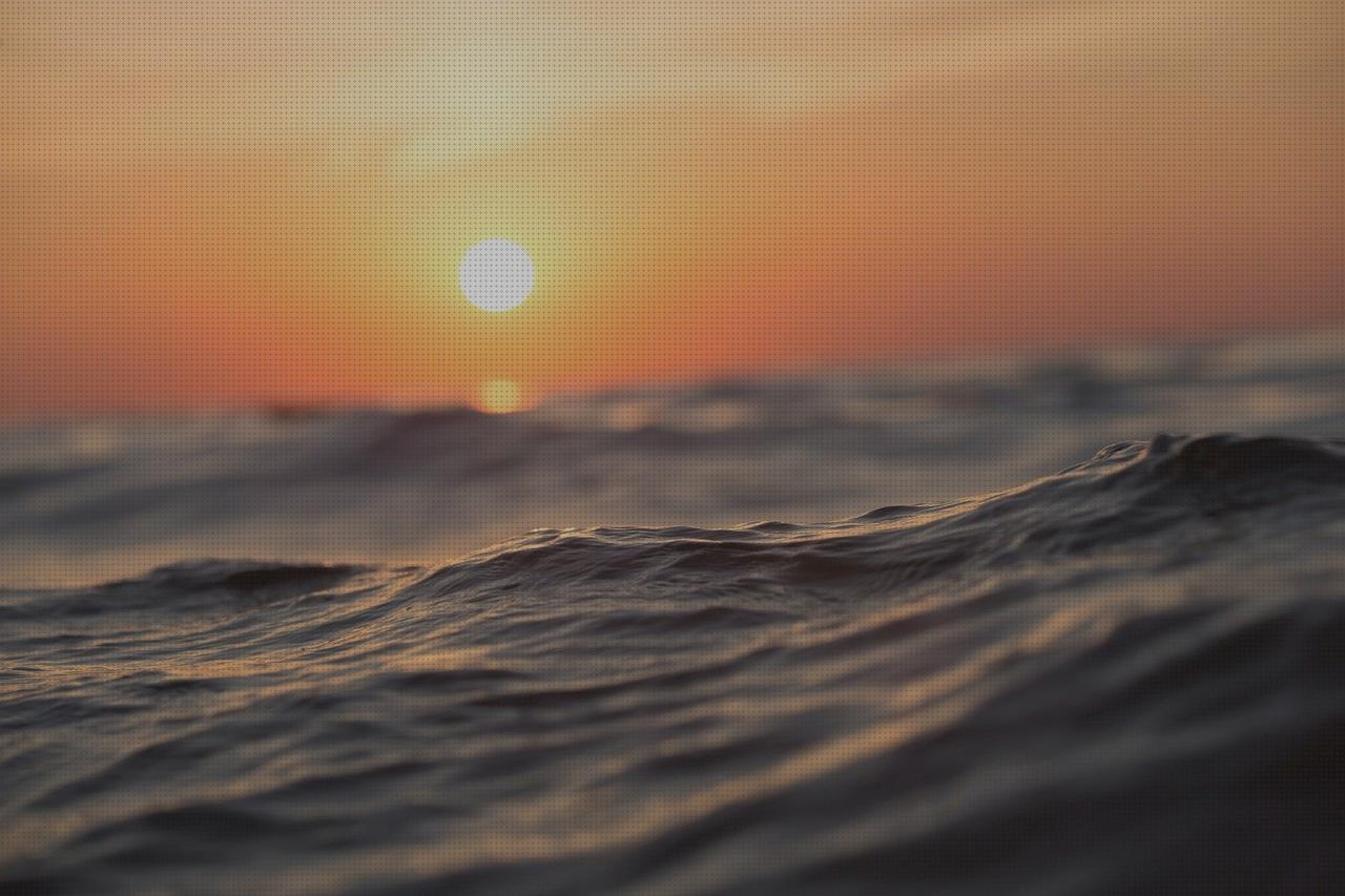¿Dónde poder comprar cal teixido estamariu habitacion con bañera hidromasaje bañera hidromasaje eco de hydrosana 185x90x68 cm bañera hidromasaje eco de hydrosana ocean bomba?