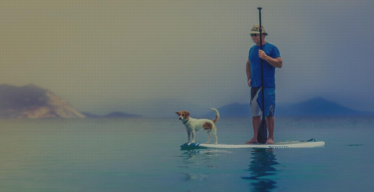 ¿Dónde poder comprar kayak zray cultivador de jardin minus spa paddle surf zray?