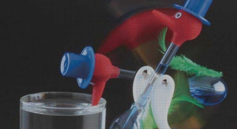 Review de pajaro de juguete de agua