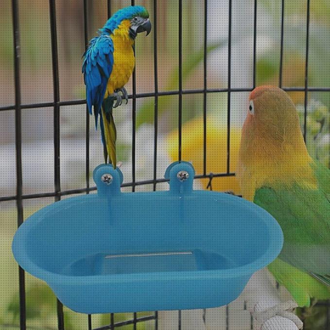 Análisis de los 17 mejores Pajaro Gotas Aguas Juguetes