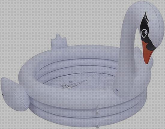 Review de palmera hinchable piscina