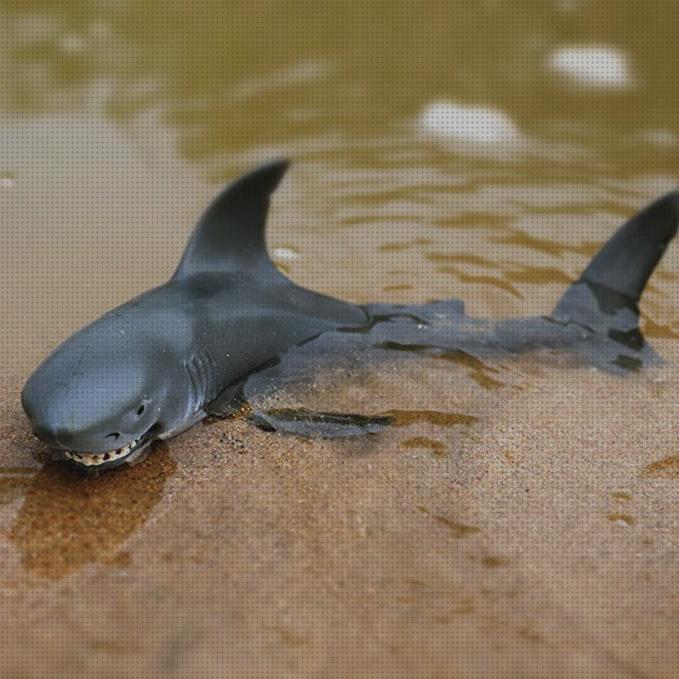 Opiniones de los 19 mejores Peces Juguetes Peceras Con Aguas