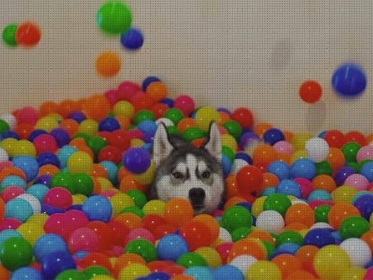 Las mejores 29 Pelotas De Plásticos Piscinas Bolas
