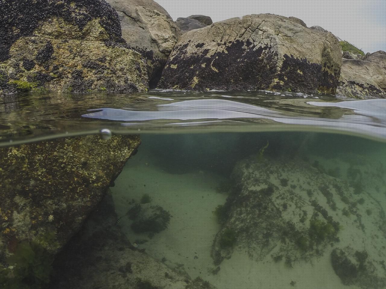 Análisis de las 25 mejores piscinas aguas saladas