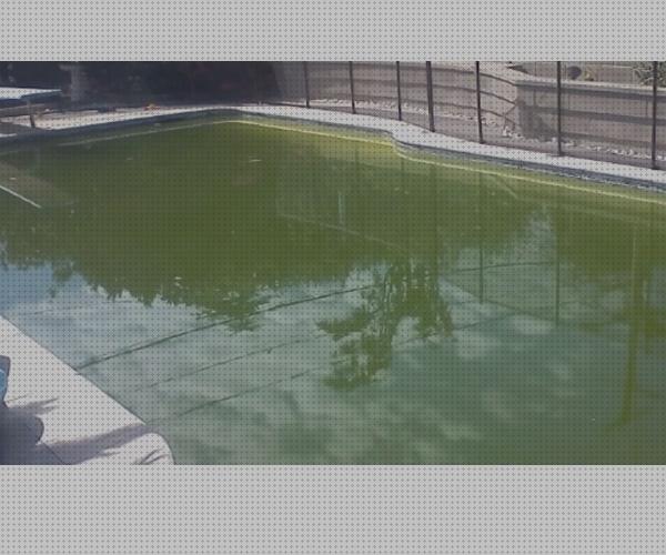 Las mejores piscinas desmontable naturclara piscina deportiva piscinas de acero ofertas piscina agua verde