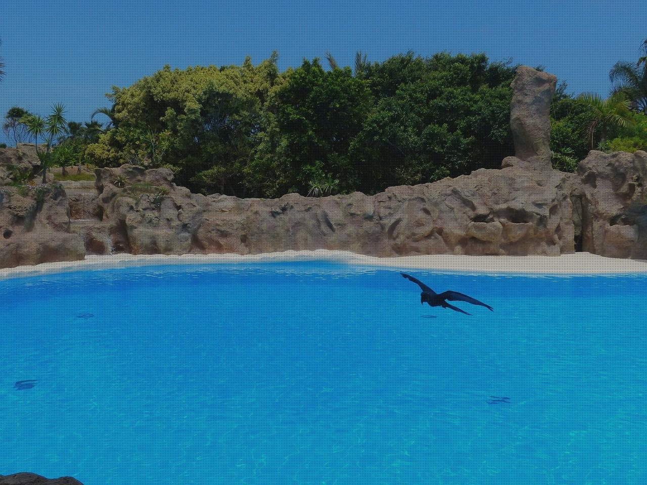 Las mejores marcas de piscinas piscina artificial