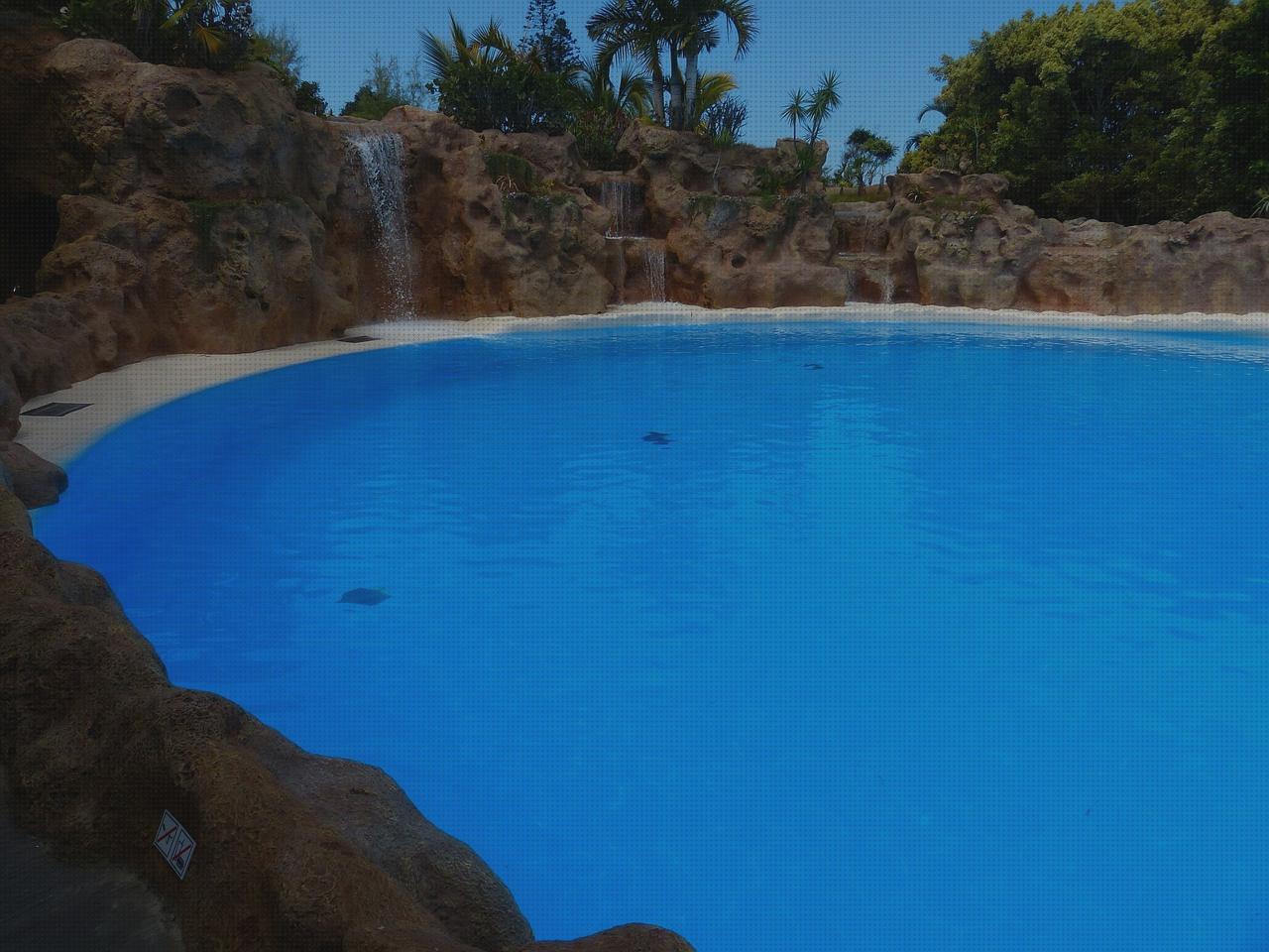Las mejores piscinas piscina artificial