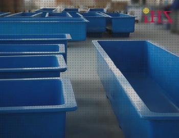 Las mejores peces piscina con peces de plastico