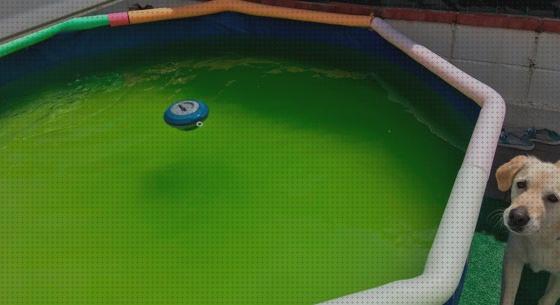 Opiniones de las 27 mejores Piscinas De Plásticos Con Aguas Saladas