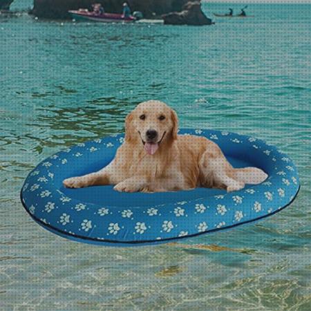 Opiniones de las 34 mejores Piscinas Hinchables Con Perritos