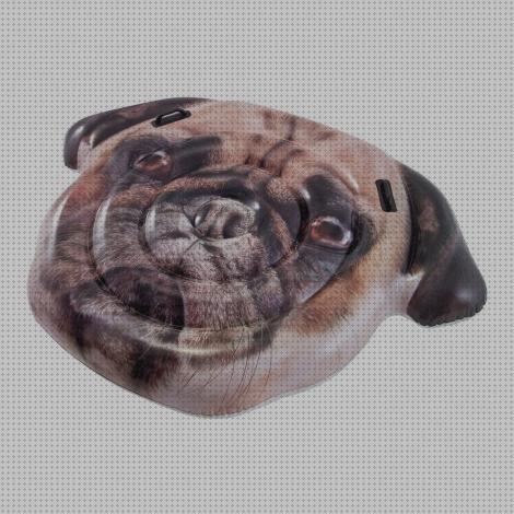 Las mejores hinchables piscinas piscina hinchable con perrito