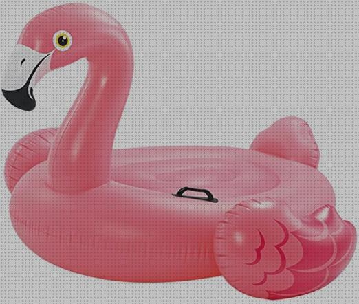 Las mejores hinchables piscinas piscina hinchable flamenco